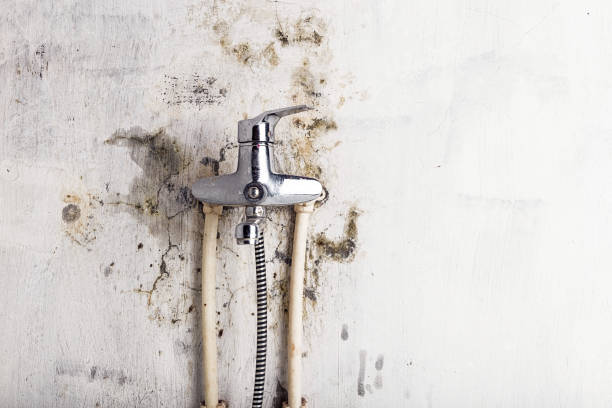 Mold Testing and Removal in South Milwaukee, WI